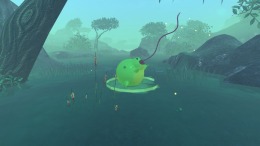   Ballfrog