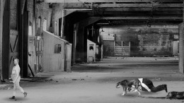 BVOVB - Bruising Vengeance of the Vintage Boxer 