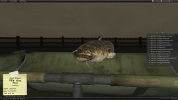  Carp Fishing Simulator