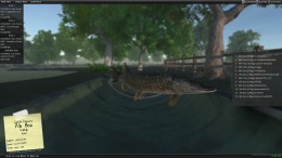   Carp Fishing Simulator