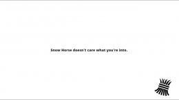   Snow Horse