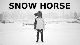  Snow Horse