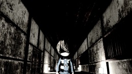   NOROI KAGO: the Grudged Domain