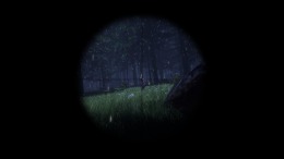   Survive Avalon