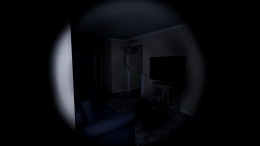 The Anomaly Experiment 