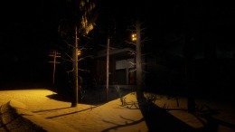   Unknown Woods
