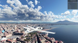 Microsoft Flight Simulator  