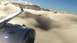   Microsoft Flight Simulator