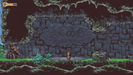  Owlboy