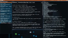 Hacknet  