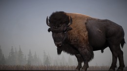 Компьютерная игра Alaskan Road Truckers