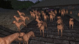 Прохождение игры Wurm Unlimited