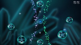 Cyto 