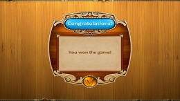 Slingshot Puzzle  PC