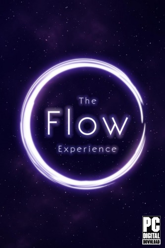 The Flow Experience  
