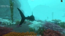  Alpha Shark
