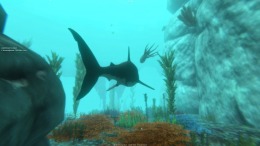  Alpha Shark