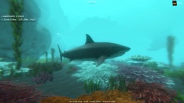 Alpha Shark  PC