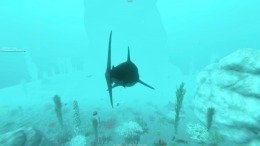 Alpha Shark 