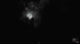 Horror Globes  