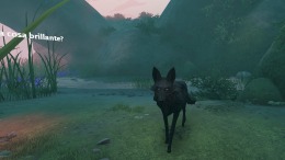 LOST EMBER - VR Edition 