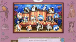 Геймплей My Lovely Pets