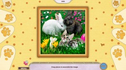 Локация My Lovely Pets