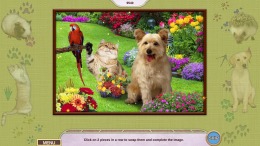 Прохождение игры My Lovely Pets
