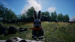 Rabbit Meadow  