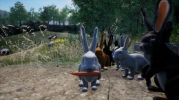  Rabbit Meadow
