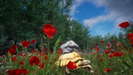   Rabbit Meadow