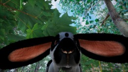 Rabbit Meadow  PC