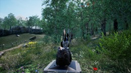   Rabbit Meadow