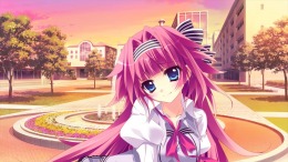  Saku Saku: Love Blooms with the Cherry Blossoms