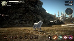 The Wolf  