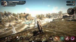  The Wolf