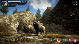 The Wolf  PC