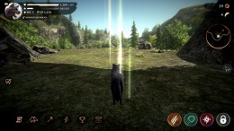 The Wolf 