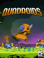 Quadroids