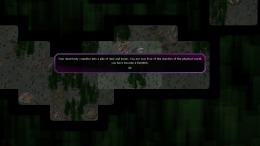   Conquest of Elysium 3