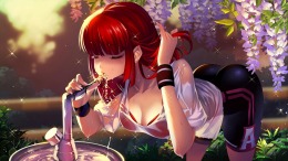 Hell Girls  PC
