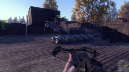   Just Survive