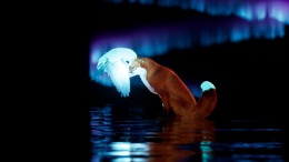   Spirit of the North 2