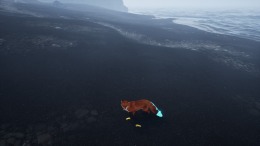 Spirit of the North 2 