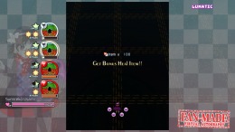   Touhou Fan-made Virtual Autography
