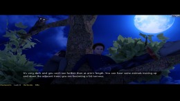   Wild Island Quest