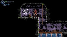 Chronicles of the Wolf  