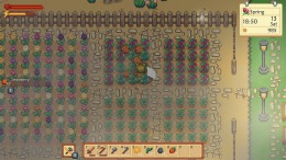 Sunshine Farm  
