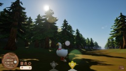 Ducky: The Curious  
