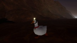  Ducky: The Curious
